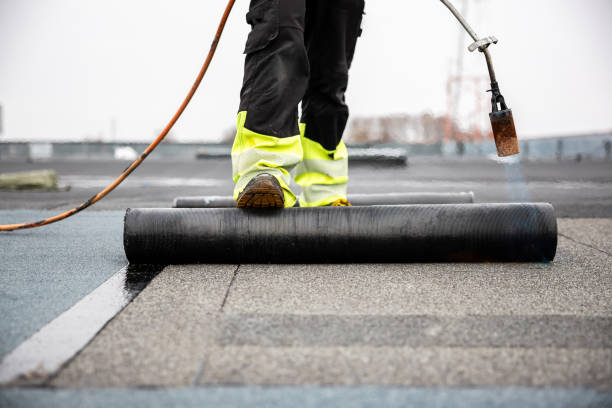 Best Steel Roofing  in Avimor, ID