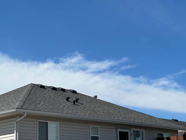 Best Rubber Roofing (EPDM, TPO)  in Avimor, ID